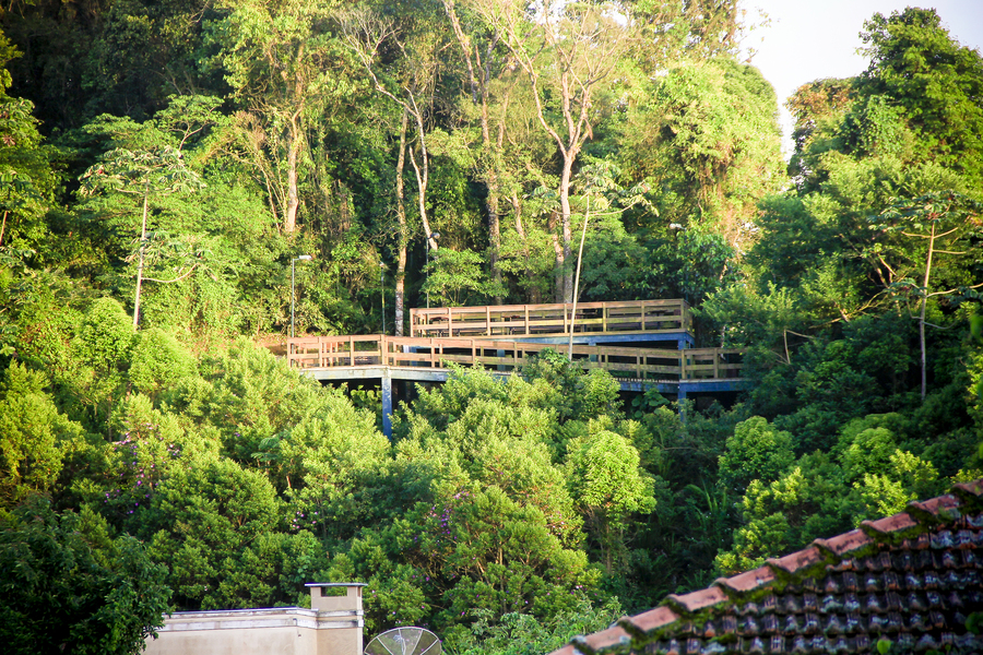 parque ecologico são francisco do sul